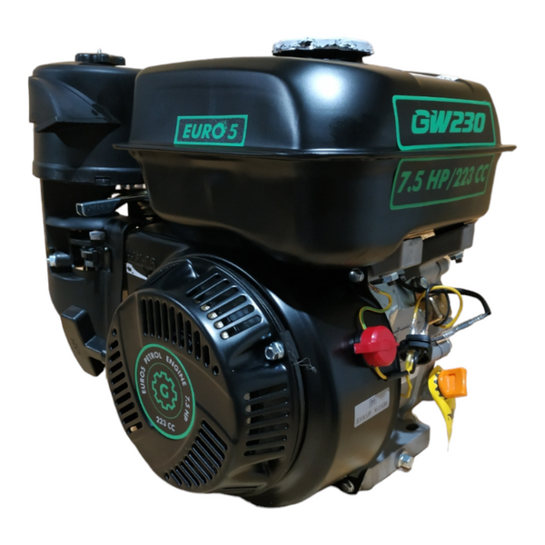 Бензиновий двигун GRUNWELT 230F-T/20 NEW ЄВРО 5 M30012561 фото