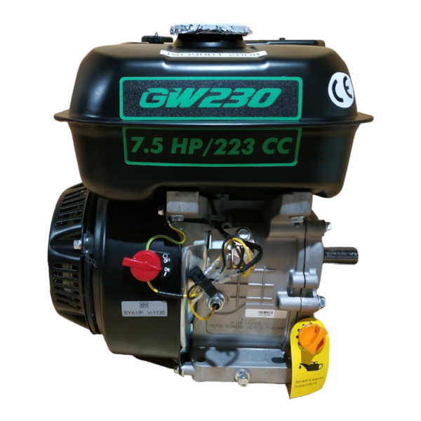 Бензиновий двигун GRUNWELT 230F-T/20 NEW ЄВРО 5 M30012561 фото