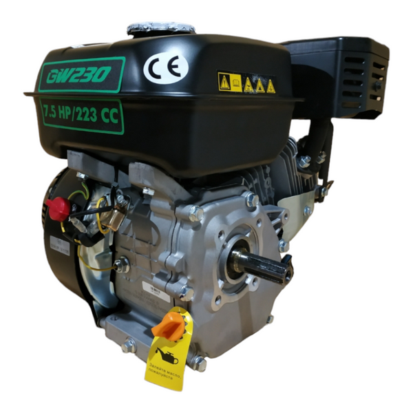 Бензиновый двигатель GRUNWELT 230F-T/20 NEW ЕВРО 5 M30012561 фото