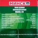 Аккумуляторнная пила Минск МАПЦ 21 M30012565 фото 2