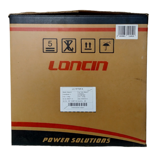 Бензиновый двигатель Loncin LC1P70FA M30012363 фото